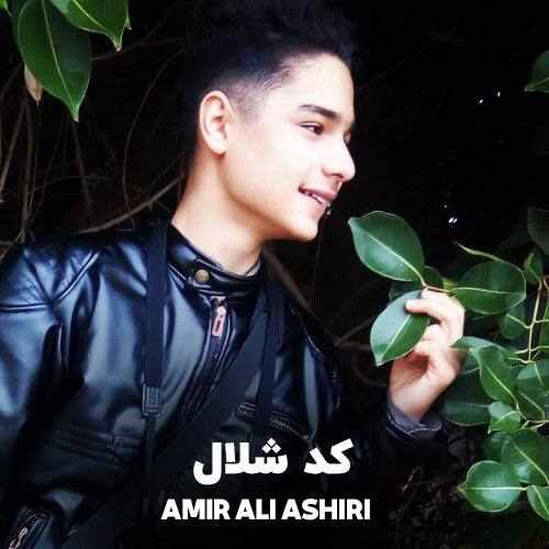 امیرعلی آشیری کد شلال